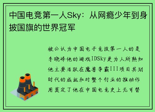 中国电竞第一人Sky：从网瘾少年到身披国旗的世界冠军